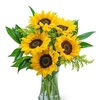 Send Flowers Arlington VA - Flower Delivery in Arlingto...