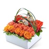 Buy Flowers Arlington VA - Flower Delivery in Arlingto...
