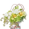 Get Flowers Delivered Elyri... - Florist in Elyria, OH