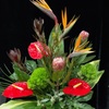 Same Day Flower Delivery Na... - Florist in Naperville, IL