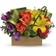 Fresh Flower Delivery Maple... - Flower Delivery in Maple Ridge, BC