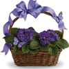 Get Flowers Delivered Maple... - Flower Delivery in Maple Ri...