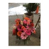 Next Day Delivery Flowers M... - Flower Delivery in Maple Ri...