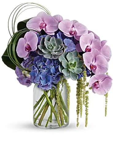 Christmas Flowers Maple Ridge BC Flower Delivery in Maple Ridge, BC
