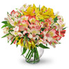 Flower Delivery in Massapeq... - Florist in Massapequa, NY