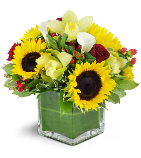 Next Day Delivery Flowers Massapequa NY Florist in Massapequa, NY