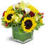 Next Day Delivery Flowers M... - Florist in Massapequa, NY