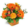 Send Flowers Massapequa NY - Florist in Massapequa, NY