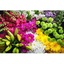 Flower Shop Ajax ON - Flower Delivery in Ajax, ON