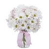 Get Flowers Delivered Beave... - Florist in Beavercreek, OH