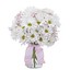 Get Flowers Delivered Beave... - Florist in Beavercreek, OH