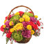Flower Delivery Commerce TX - Florist in Commerce, TX