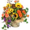 Send Flowers Commerce TX - Florist in Commerce, TX