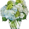 Funeral Flowers East Syracu... - Flower Delivery in East Syr...