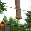 Affordable Tree Service Inc - Affordable Tree Service Inc