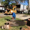 Affordable Tree Service Inc. - Tree Service Miami