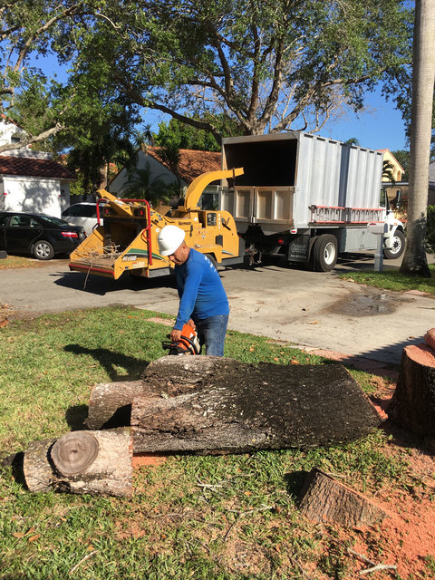 Affordable Tree Service Inc Affordable Tree Service Inc. - Tree Service Miami