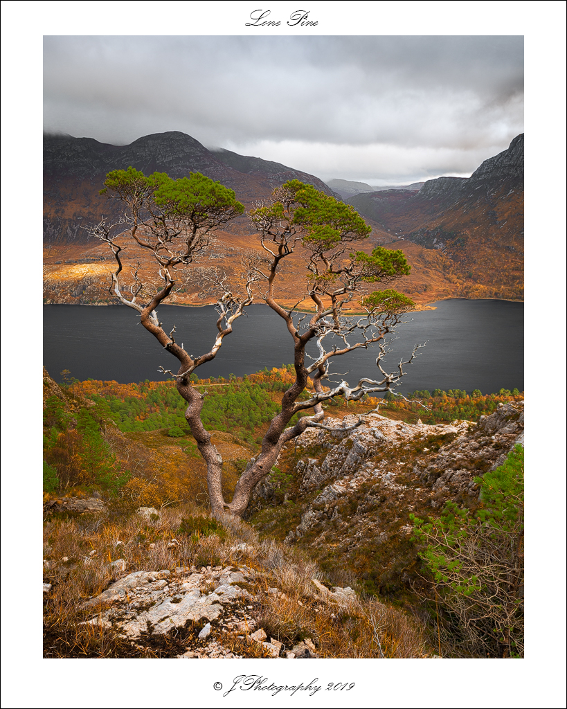  DSC1139 bew2 WSK Lone Pine - 