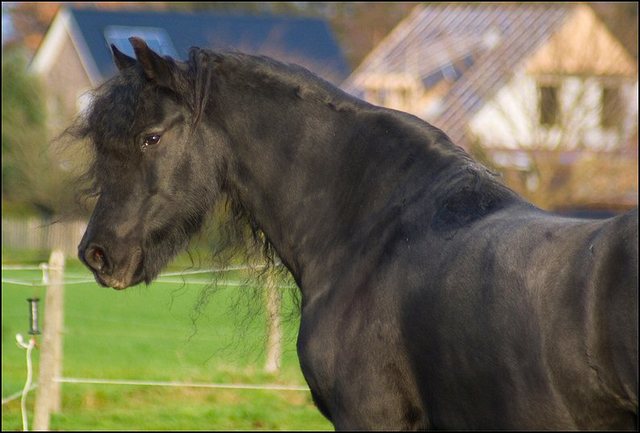 100 nathan en hayke 29 nov