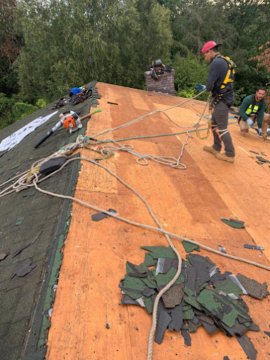 near me roofing company, full roof replacement, ro Near Me Roofing Company - Renton