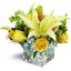 Flower Shop in Phoenix AZ - Flower Delivery in Phoenix, AZ