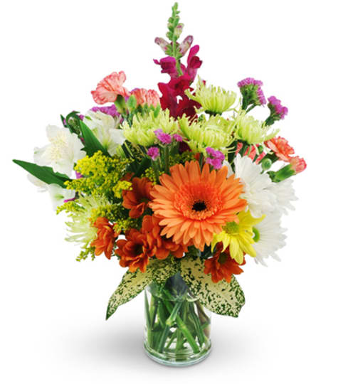 Phoenix AZ Florist Flower Delivery in Phoenix, AZ