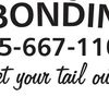 bail-bonds-clarksville-tn - Fizer Bail Bonds Clarksville