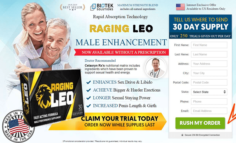 0 https://sites.google.com/view/ragingleo/home