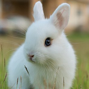 K7kFquOZ 400x400 - Anonymous