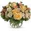 Next Day Delivery Flowers S... - Flower Delivery in Sarasota, FL