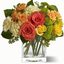 Allentown PA Florist - Florists in Allentown
