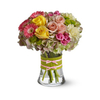 Allentown PA New Baby Flowers - Florists in Allentown