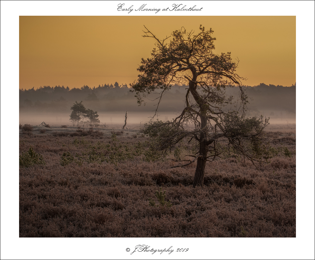  DSC1503 Early Morning at Kalmthout - 