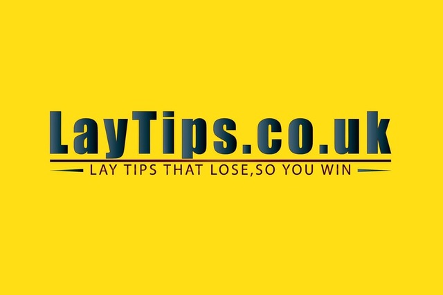 30709178 2020299418186502 8407917588847263744 o Professional Lay Tipping Service