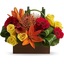 Oswego NY Sympathy Flowers - Florist in Oswego, NY