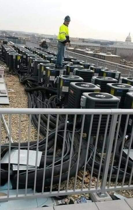 131572202 10157454649026681 5425161261633901605 n - 