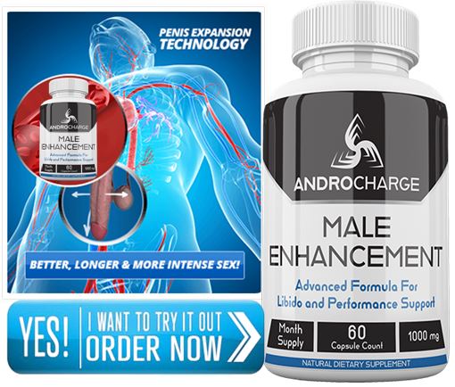 02 https://sites.google.com/view/androchargeme/home