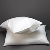 Disposable Pillow Cover - Disposable Pillow Cover