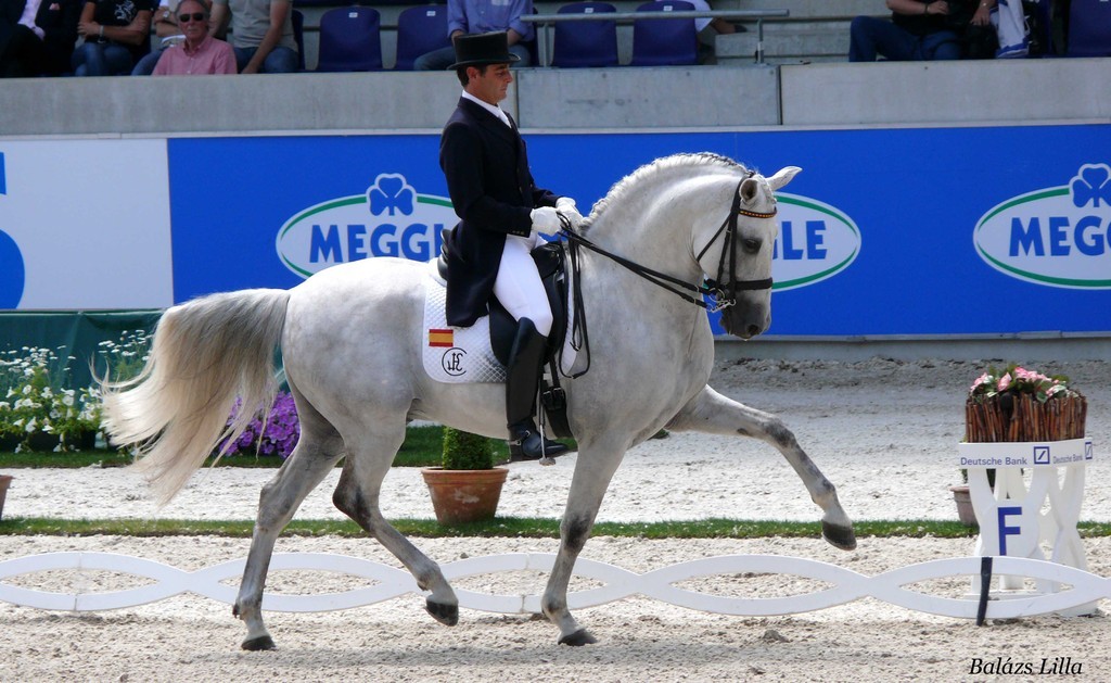 fuego-xii-spanish-stallion-equestrian-games-Sftk - 