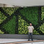 completed-vertical-garden-wall - Alessio's Garden