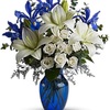 Thanksgiving Flowers Willou... - Florist in Willoughby Ohio