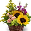 New Baby Flowers Greenwood ... - Florist in Elkhart Indiana