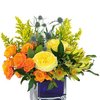 Thanksgiving Flowers Greenw... - Florist in Elkhart Indiana