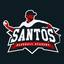 Logo - Santos Baseball Academy