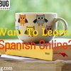 Learn Spanish Online - Learn Spanish Online