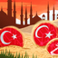 Turkeys-digital-Lira - Picture Box