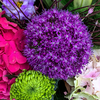 Florist Altrincham - Picture Box