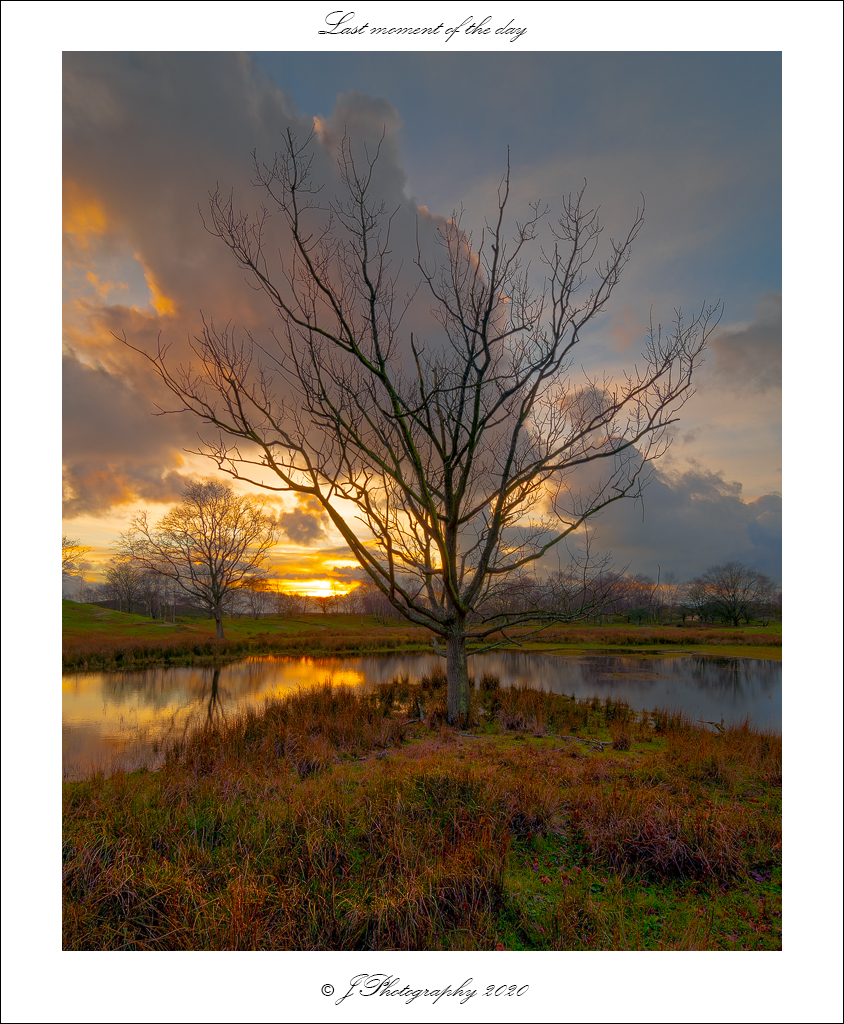  DSC0933 Last moment of the day - 