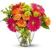 Fresh Flower Delivery Zeela... - Florist in Zeeland, MI