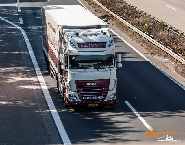 Trucks & Trucking 2021#ClausWieselPhotoPerformance View from a bridge 2021 powered by ww.truck-pics.eu & www.lkw-fahrer-gesucht.com, #truckpicsfamily